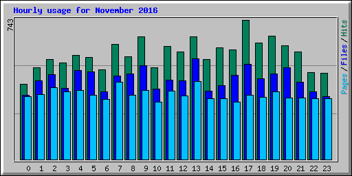 Hourly usage for November 2016