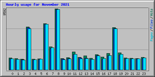Hourly usage for November 2021