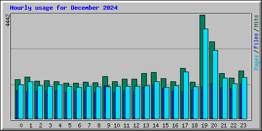 Hourly usage for December 2024