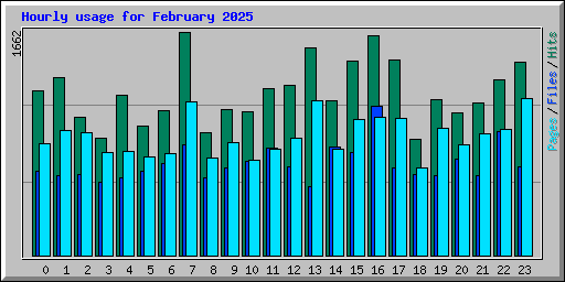 Hourly usage for February 2025