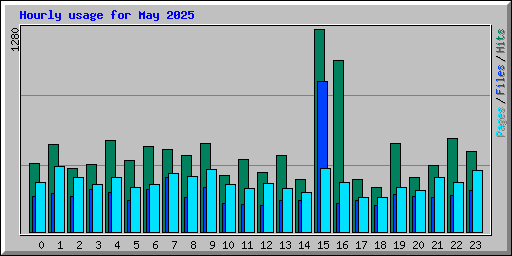 Hourly usage for May 2025