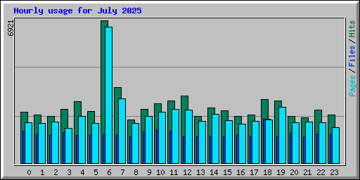Hourly usage for July 2025